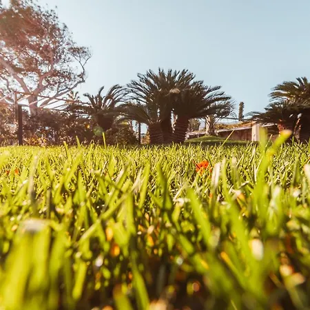 Echi Di Puglia Marsento