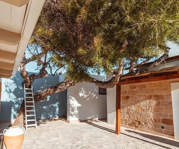 Echi Di Puglia Marsento Bed and Breakfast Polignano a Mare