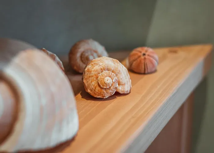 Echi Di Puglia Marsento לינה וארוחת בוקר 4*